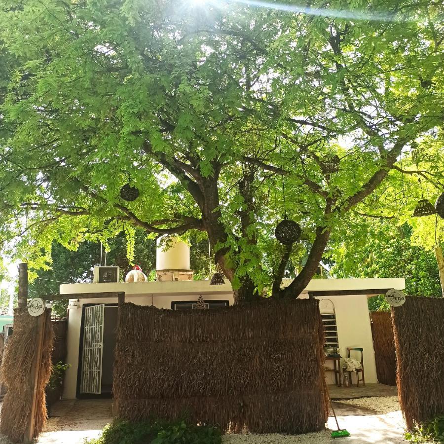 Casa Arte Bacalar Daire Dış mekan fotoğraf